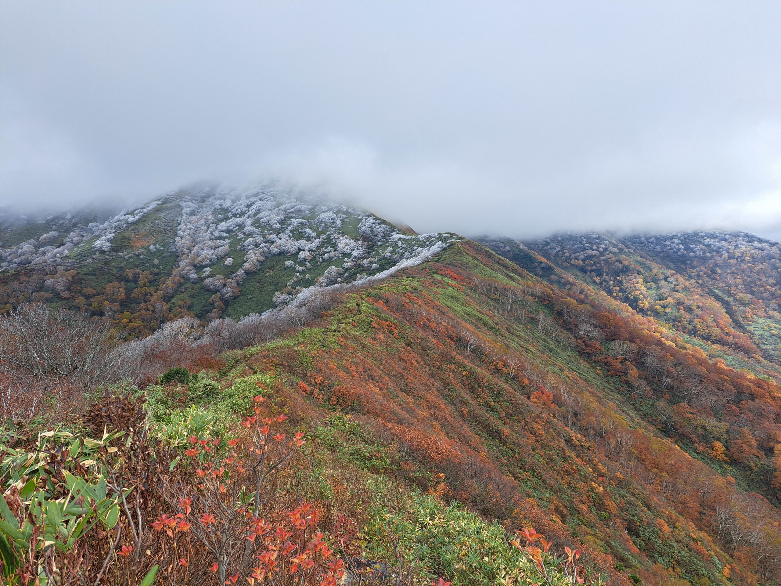 秋と冬の狭間に