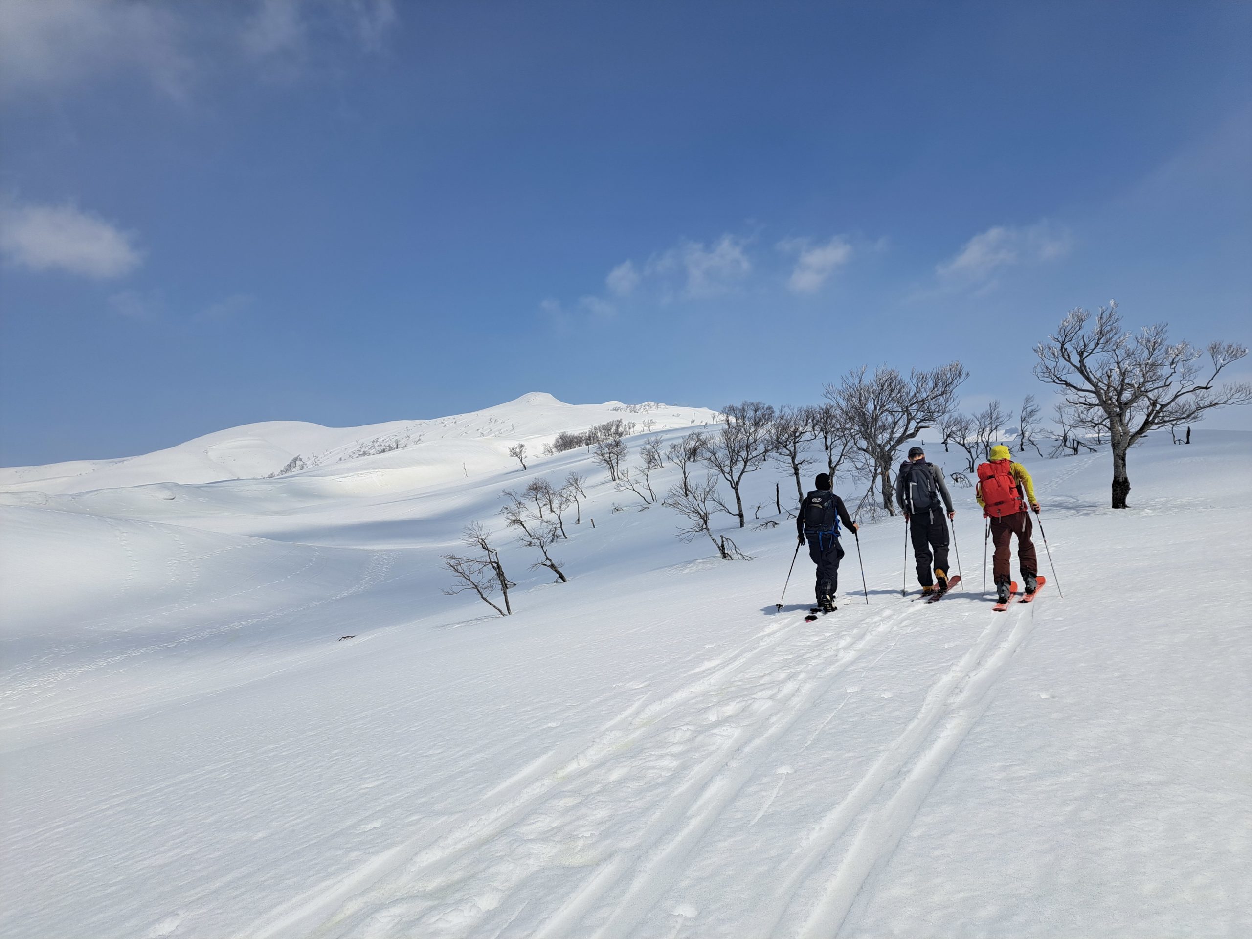 春のスキー旅行1【守門岳】